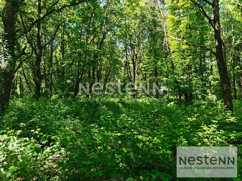 Terrain - 270 000 m²