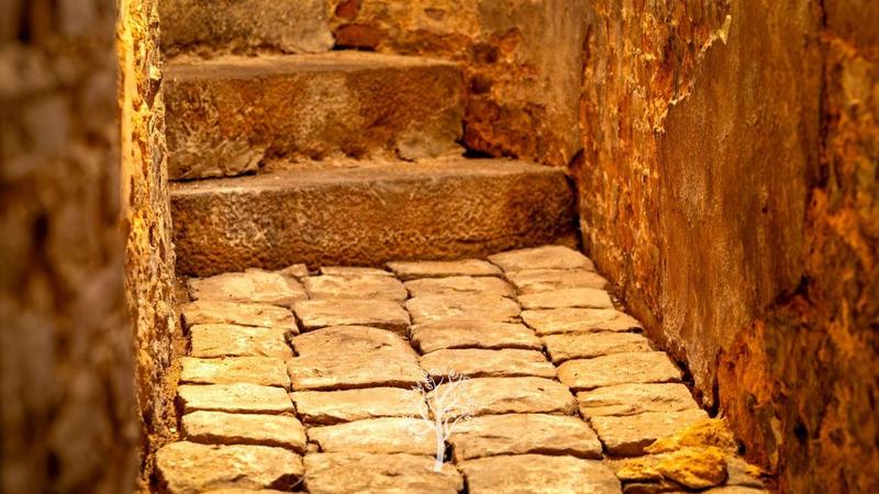 Manoir - 300 m² - 11 pièces