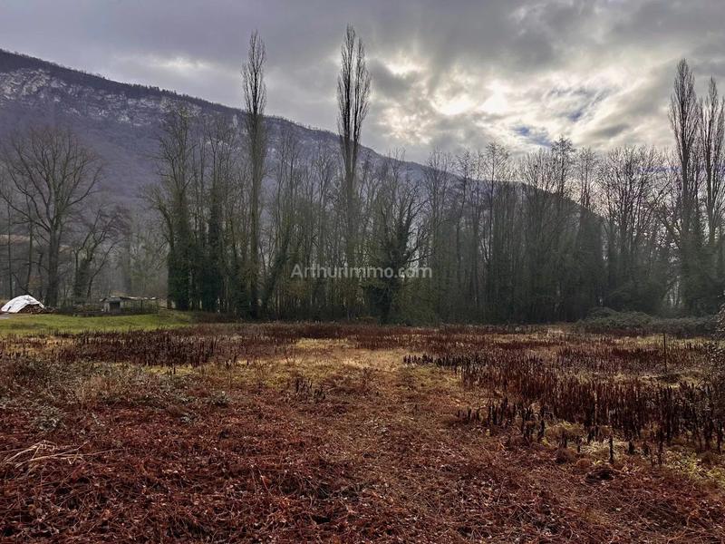 Terrain - 1 351 m²