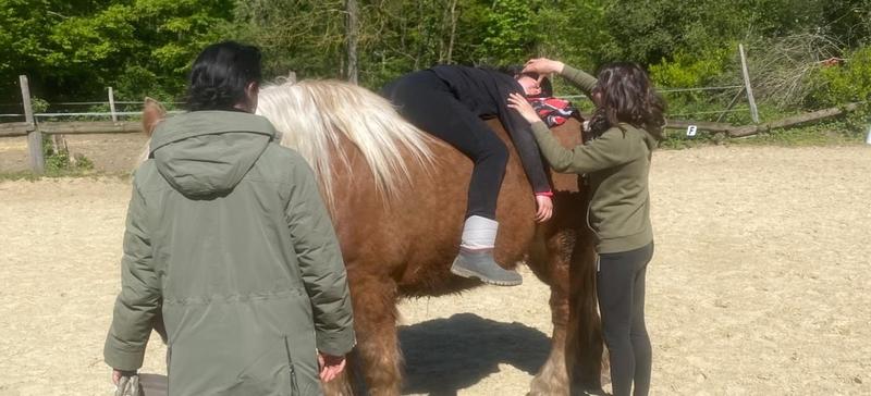 Activité : équithérapie