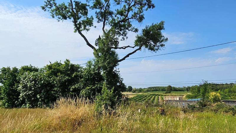 Maison ancienne - 74 m² - 2 pièces