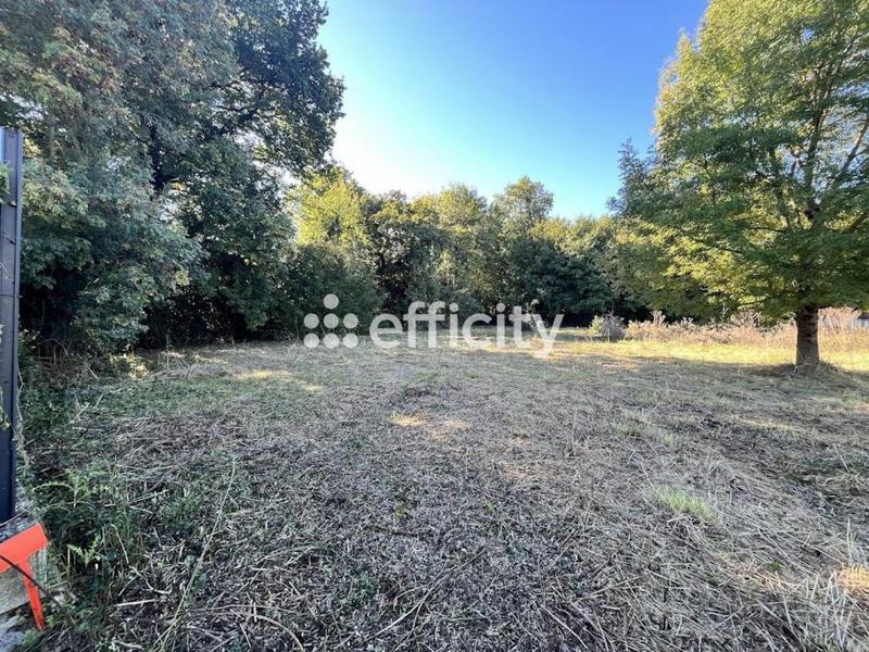Terrain - 1 600 m²