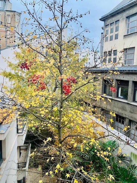 Appartement - 48 m² - 3 pièces