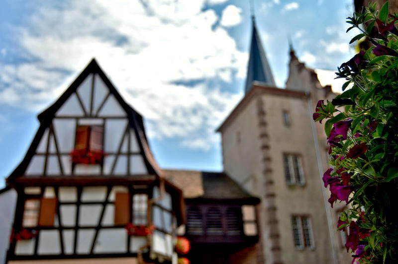 Balade ludique - la cité viticole