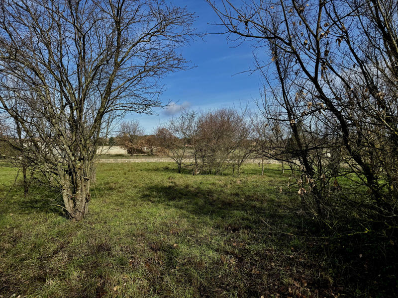 Terrain - 2 478 m²