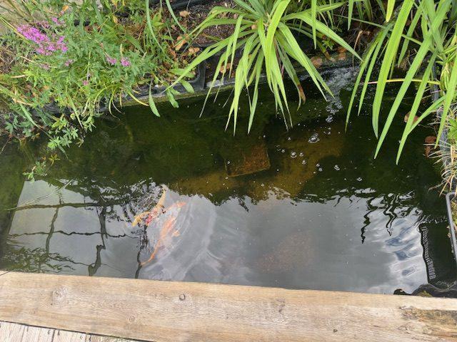 Maison - 127 m² - 6 pièces