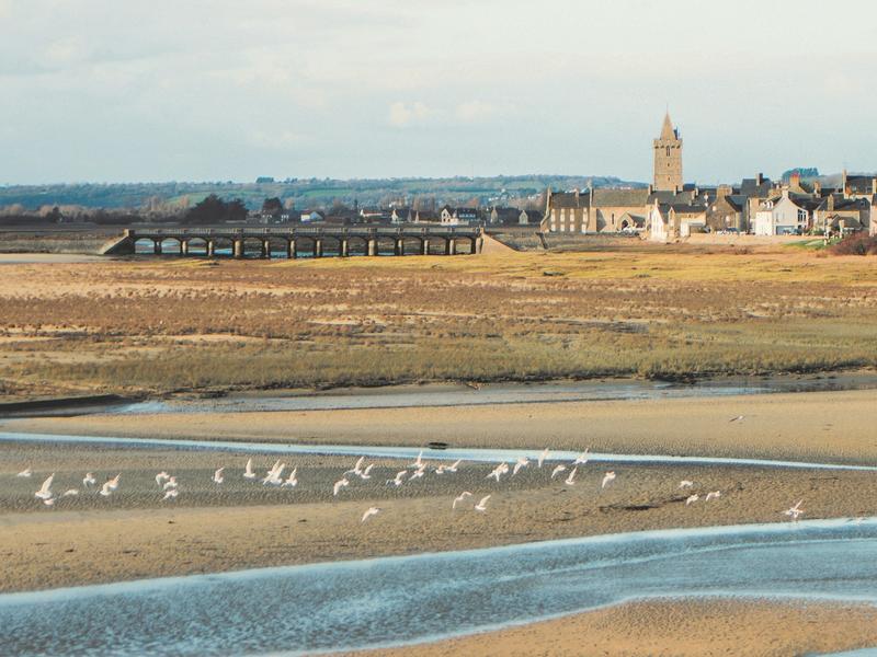 Collecte de déchets - Plage de Porbail