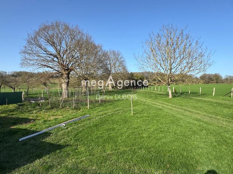 Maison en pierre - 145 m² - 7 pièces