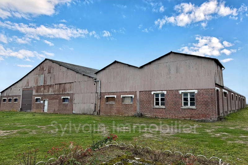 Maison - 205 m² - 7 pièces