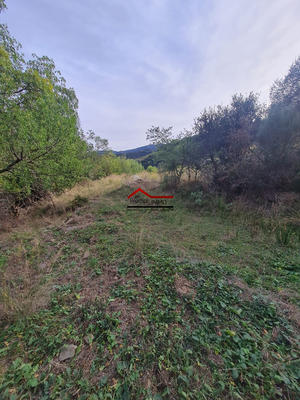 Terrain agricole - 10 225 m²