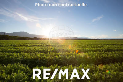 Terrain de loisirs - 5 000 m²