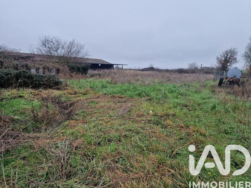 Maison de campagne - 177 m² - 7 pièces