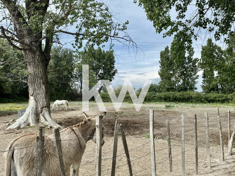 Fonds de commerce - Magasins - 2 000 m²