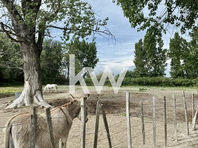 Fonds de commerce - Magasins - 2 000 m²