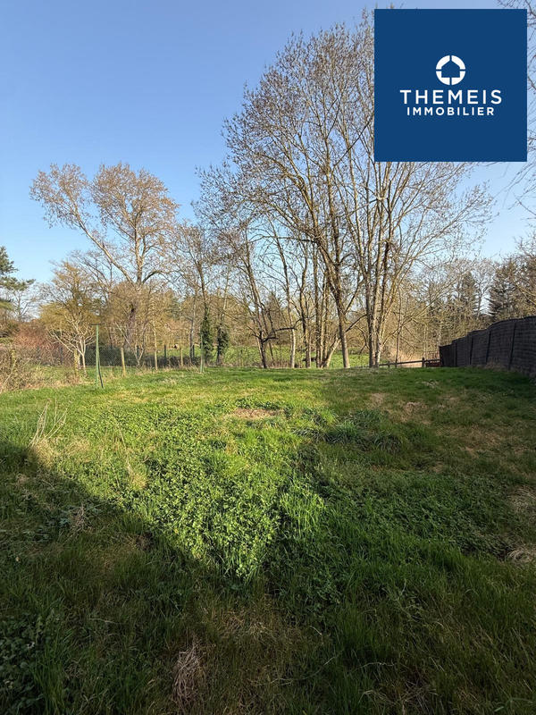 Appartement - 55 m² - 2 pièces