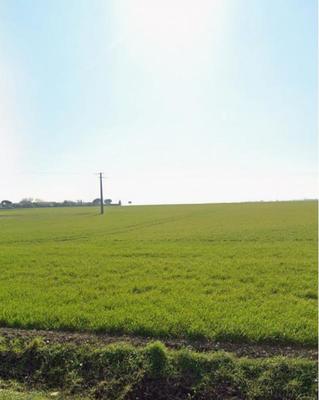 Terrain constructible - 354 m²