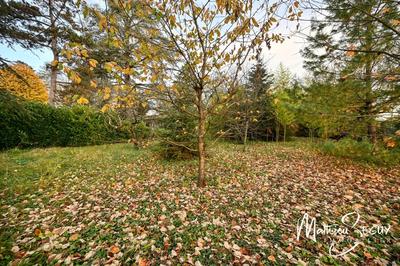 Terrain constructible - 1 617 m²