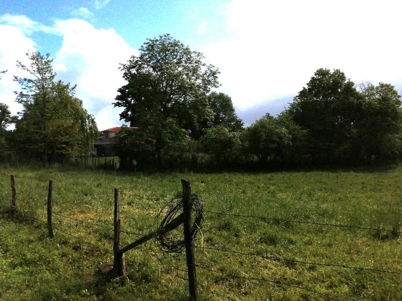 Propriété - 1 pièce