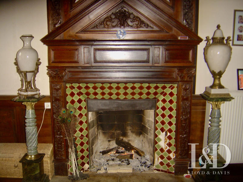 Château - 1 000 m² - 36 pièces