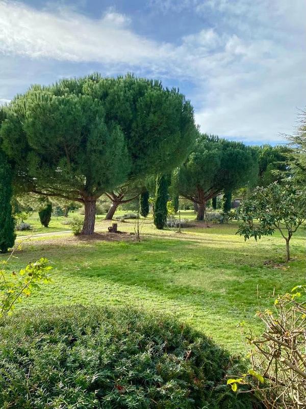 Appartement - 34 m² - 1 pièce