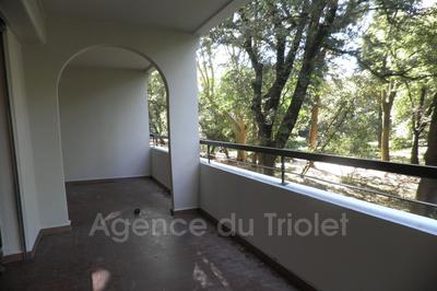 Appartement - 28 m² - 1 pièce