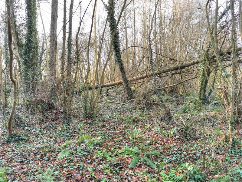 Terrain de loisirs - 14 000 m²