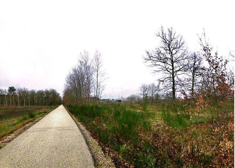 Terrain - 31 811 m²