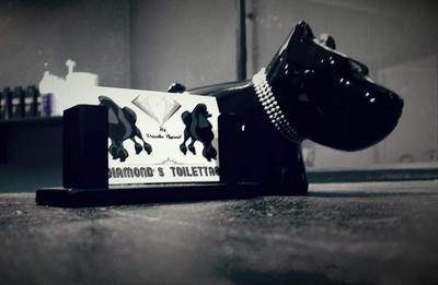 Diamond's Toilettage