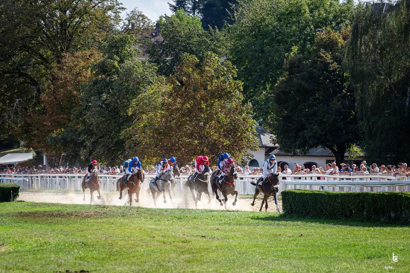 Courses hippiques : Brasero Party