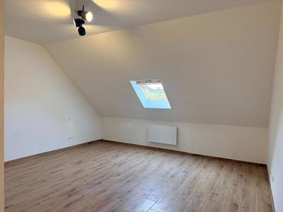 Studio - 24 m² - 1 pièce