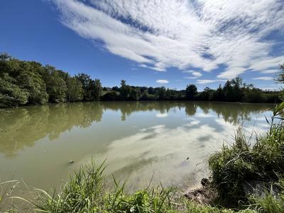 Terrain - 81 675 m²