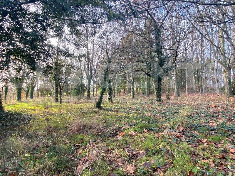 Longère - 84 m² - 4 pièces