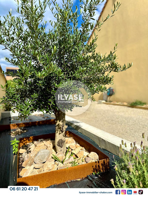 Maison - 220 m² - 5 pièces