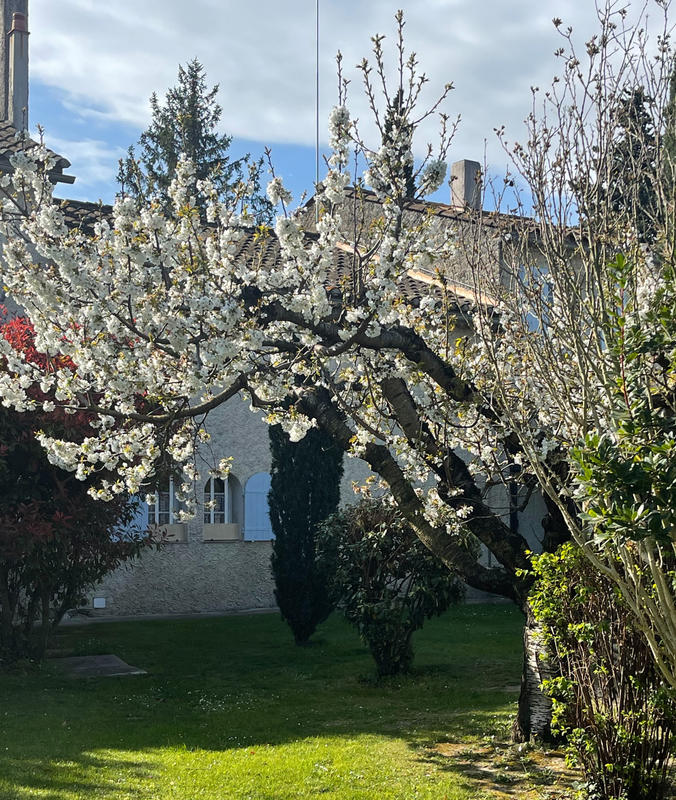 Propriété - 600 m² - 15 pièces