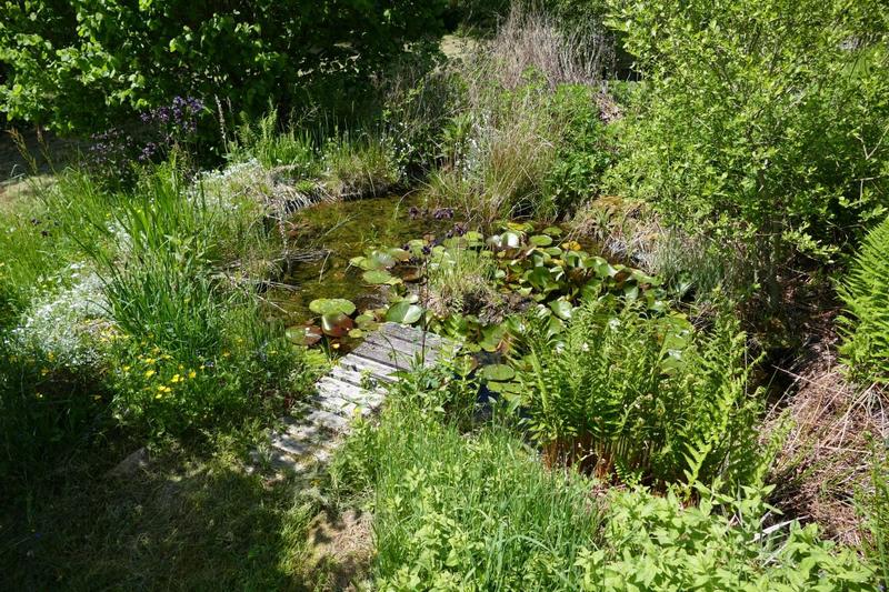 Maison ancienne - 130 m² - 6 pièces