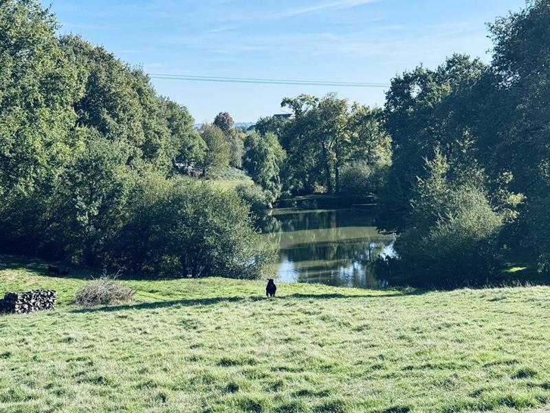 Demeure - 380 m² - 14 pièces