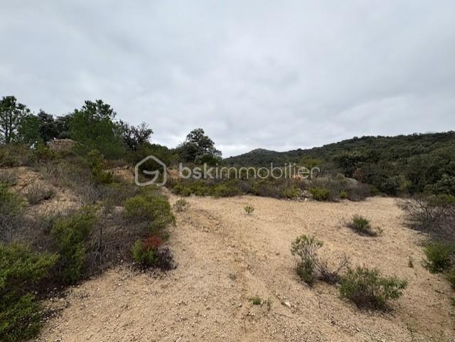 Terrain agricole - 10 160 m²