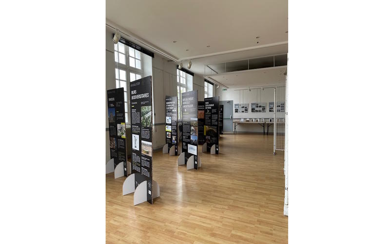 Expositions sur notre patrimoine