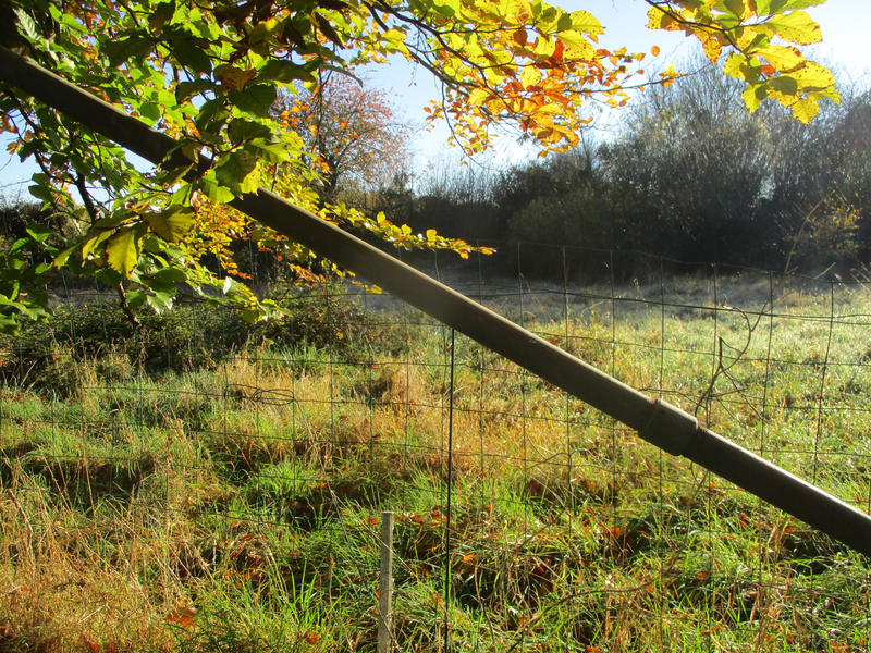 Maison - 98 m² - 5 pièces