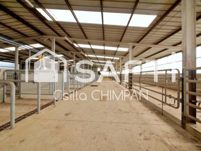 Maison - 155 m² - 5 pièces