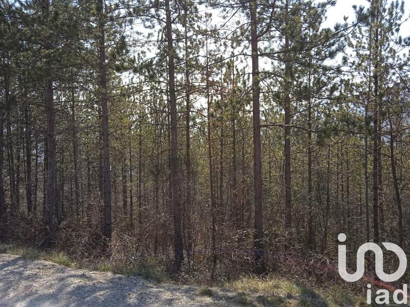 Terrain - 37 700 m²