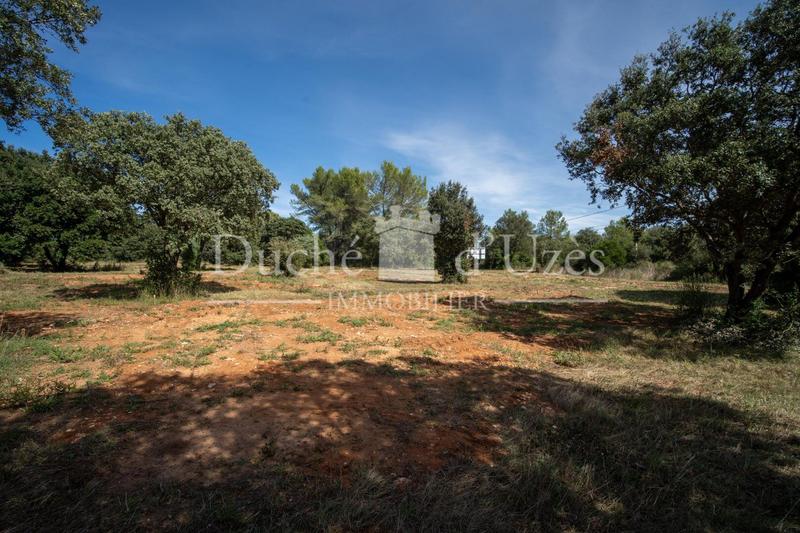 Terrain - 350 m²