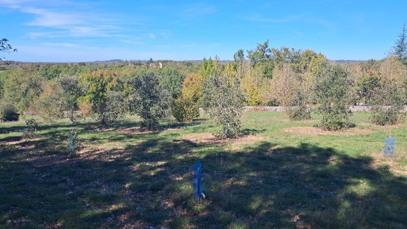 Maison en pierre - 130 m² - 4 pièces