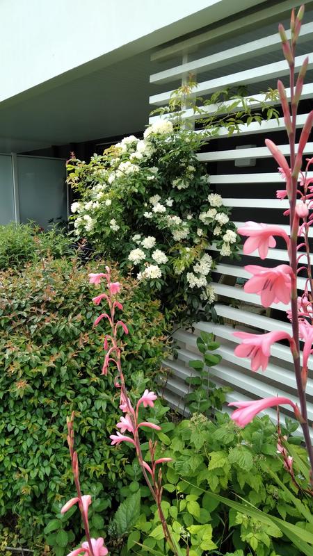 Appartement - 97 m² - 4 pièces