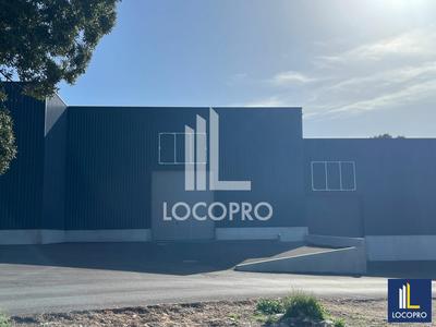 Local d'activité / Entrepôt - 265 m²