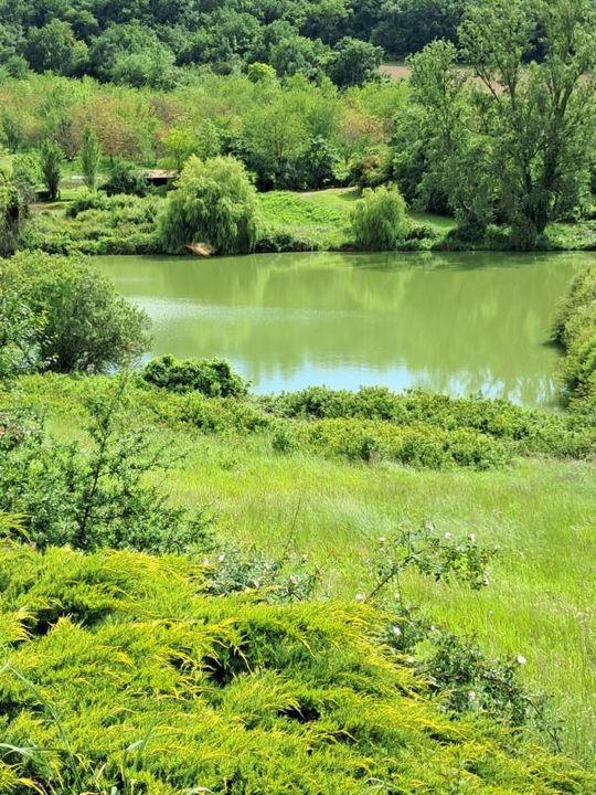 Propriété - 201 m² - 8 pièces