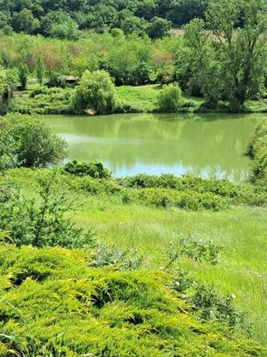 Propriété - 201 m² - 8 pièces