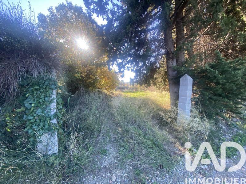 Terrain agricole - 2 430 m²