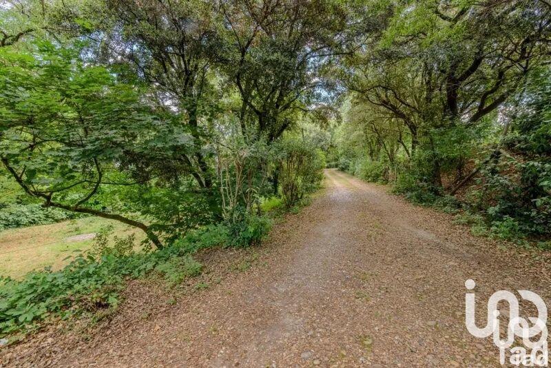 Maison - 230 m² - 4 pièces