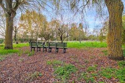 Longère - 99 m² - 4 pièces